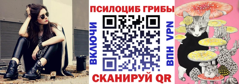 Галлюциногенные грибы мицелий  KRAKEN зеркало  Волчанск  дарнет шоп 