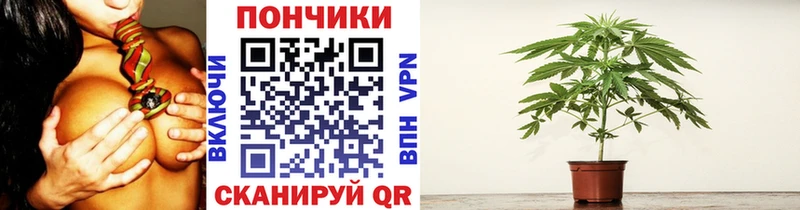 Конопля конопля  закладки  Волчанск 